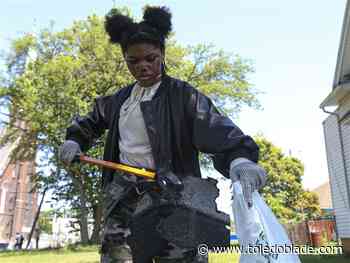 Photo gallery: Lantern Fly Stomp Fest