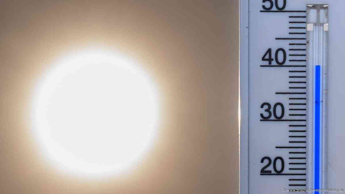 Hitze in ganz Deutschland: 41 Grad und es wird noch heißer – neuer Rekordwert