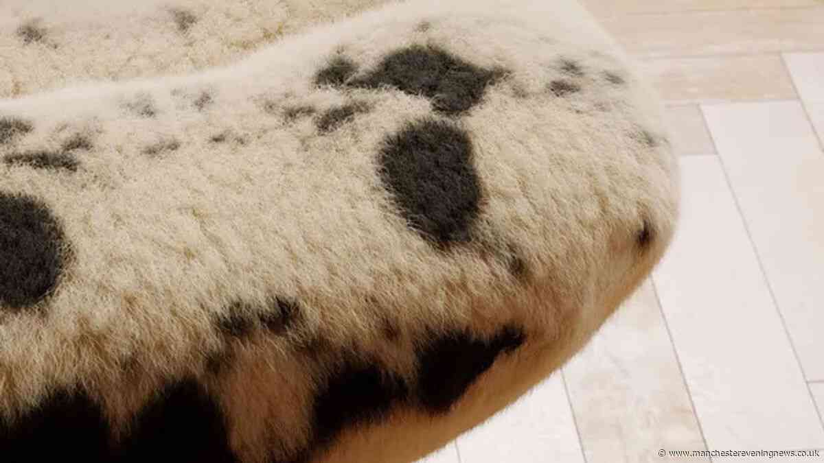 Dunelm heavily reduces £104 swivel chair that looks like it belongs in a luxury 5-star hotel