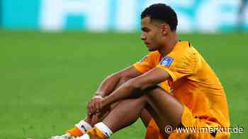 Tragödie bei der WM: Freundin von Oranje-Star verliert Baby