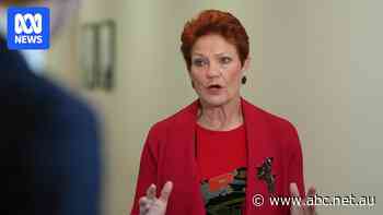Hanson has perfected a three-step playbook and Liberals played into it
