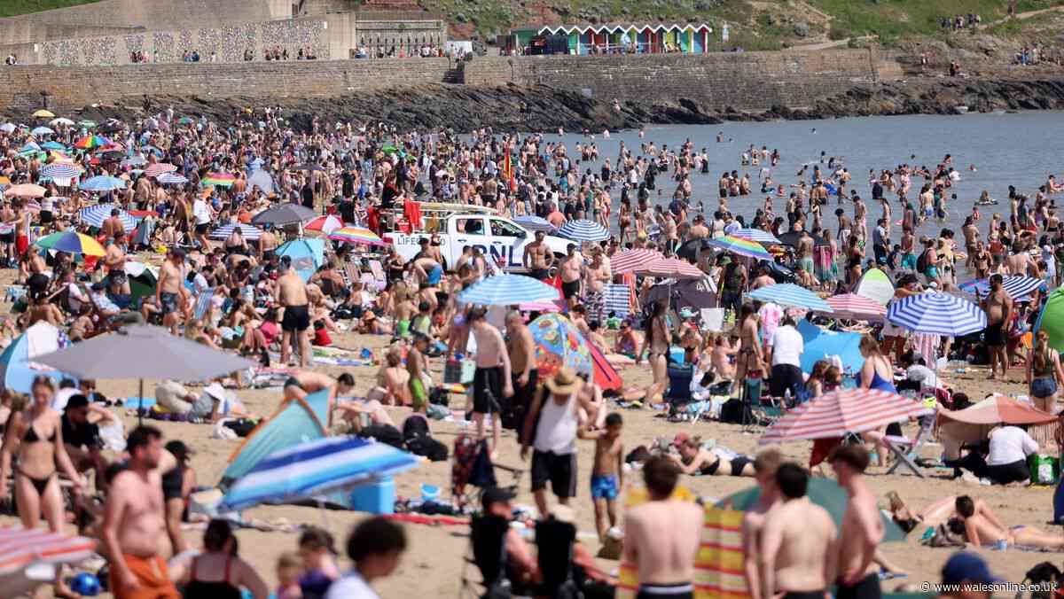 BBC weather forecasters give their verdict on further heatwaves this summer