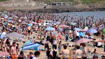 BBC weather forecasters give their verdict on further heatwaves this summer