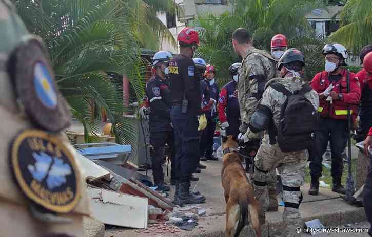 Personal argentino confirmó despliegue de brigadas para la búsqueda de sobrevivientes por terremotos en La Guaira