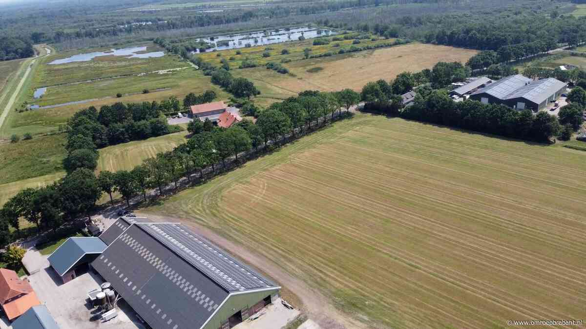 'Al het werk rond de Peel is voor niks geweest met nieuwe stikstofplannen'