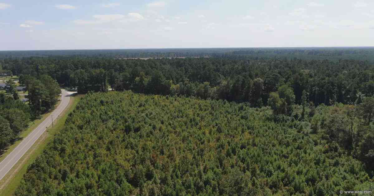 Brunswick County could become home to the first U.S. deep-sea minerals plant