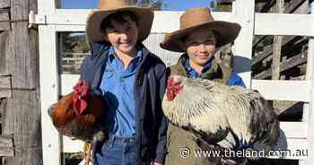 Forget video games, these boys are playing the real stock market