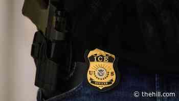Trump names new ICE director