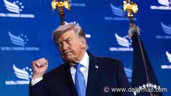 Donald Trump accused of 'hijacking' America's 250th anniversary celebrations