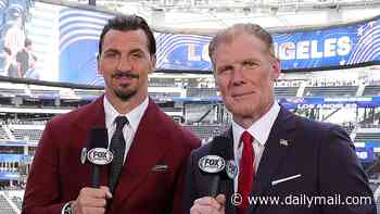 Fox World Cup host Rebecca Lowe wades in on feuding Alexi Lalas and Zlatan Ibrahimovic after on-air clashes