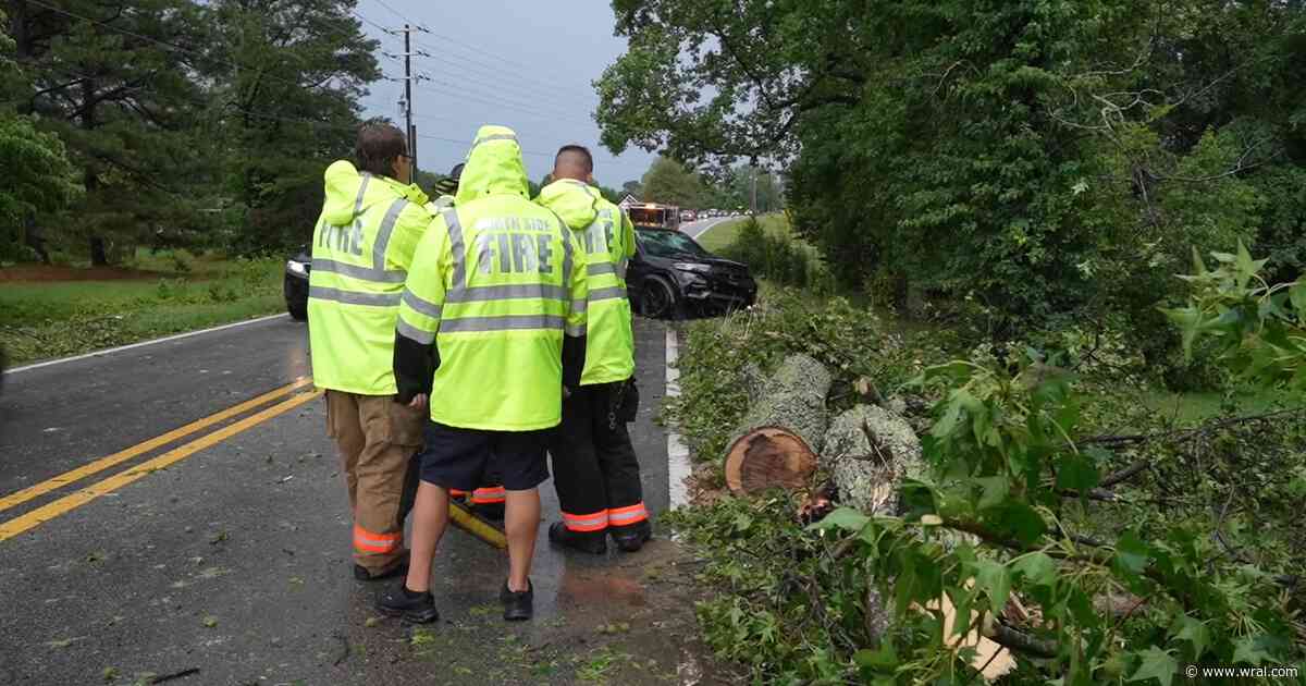 Tree falls onto SUV's windshield as storms moved through Johnston County