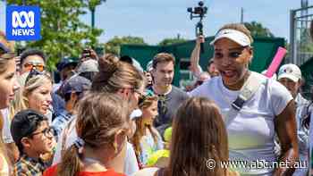 Serena Williams's return to All England Club sparks fan frenzy