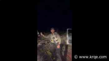 Former Grant County deputy that threw a baby rabbit at truck takes plea deal