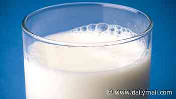 As a doctor and gut health expert, this is why I believe milk is for babies and NOT for grown-ups - despite what the dairy industry tries to tell us