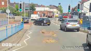 Drivers swerve to avoid spilled offal amid heatwave