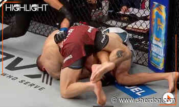 PFL San Diego highlight video: Cobey Fehr brabo chokes Daniel Bzdigian