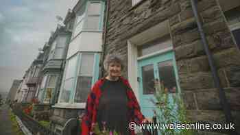 Regular terrace must be Wales' most colourful home with visitors left speechless