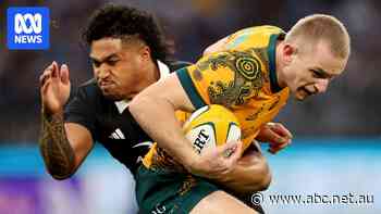 Wallabies and All Blacks locked in for 123-year Bledisloe Cup first