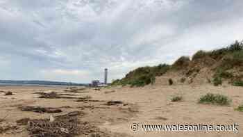 Gruesome night walker found still-warm body of young woman on a Welsh beach