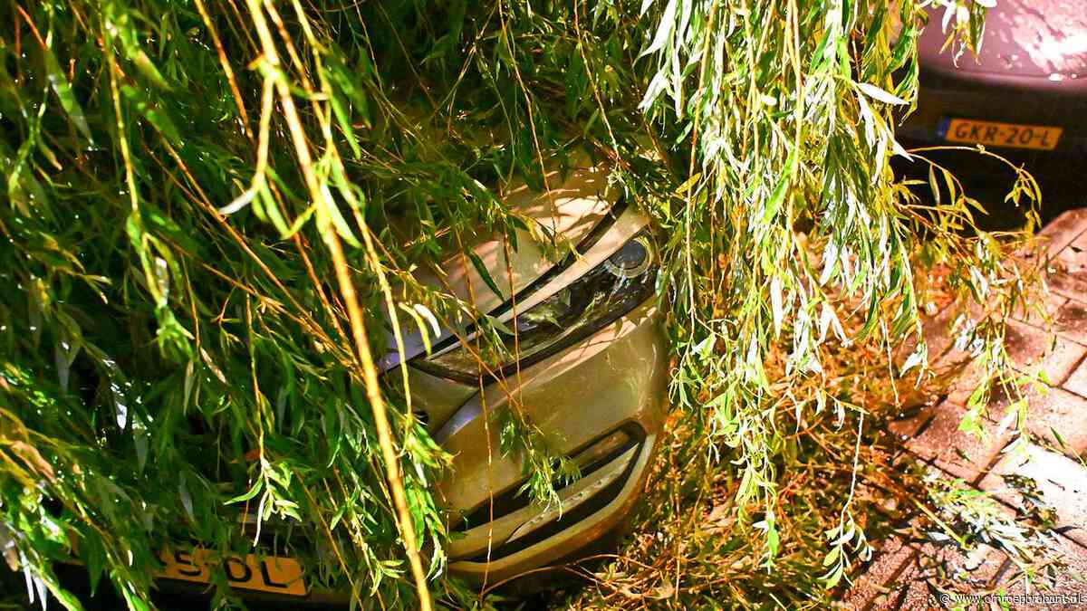 Omgewaaide bomen, hekken en fietsen: zo houdt de storm huis in Valkenswaard