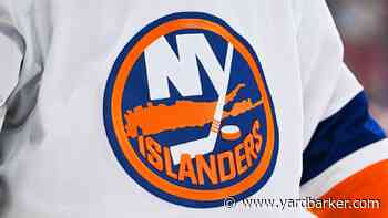 Islanders acquire Ryan Healey from Wild for future considerations