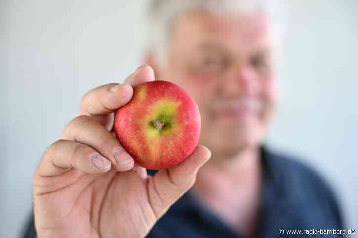 Das kann der neue Superapfel vom Bodensee