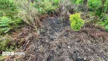Forest fire prompts fresh warning amid heatwave