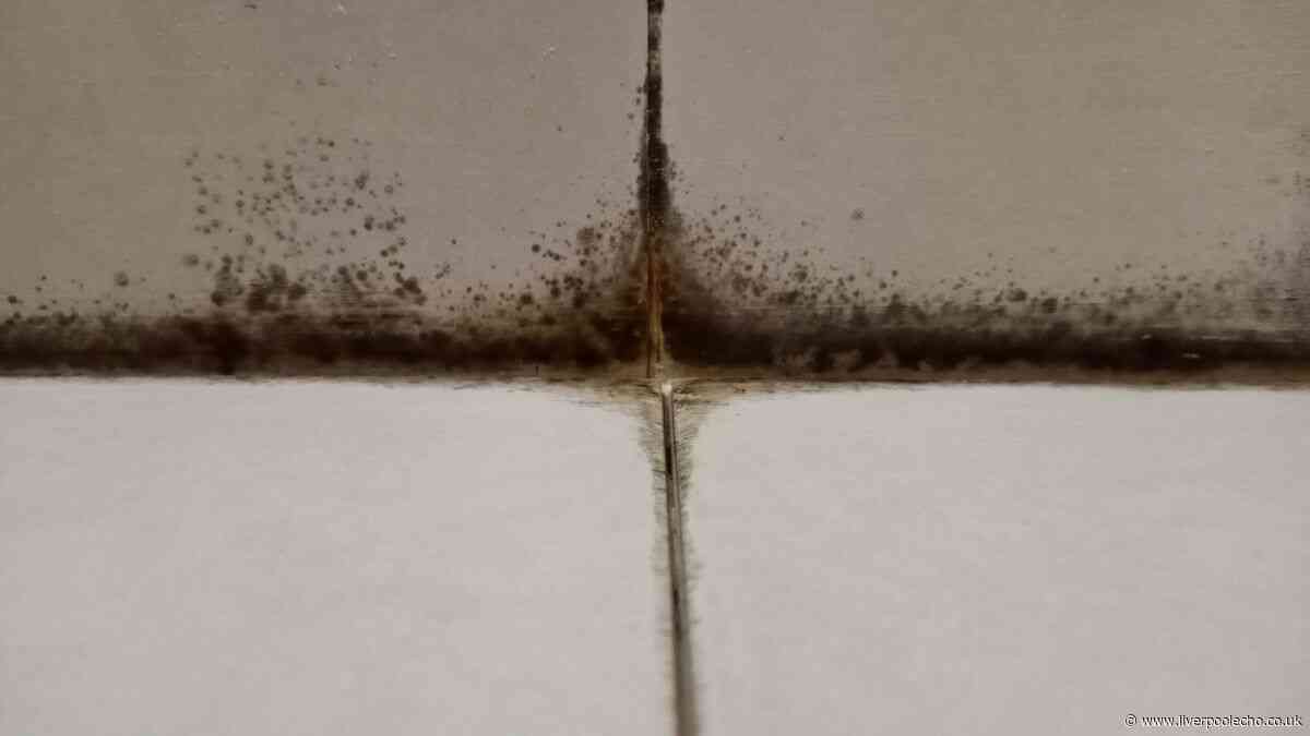 'Most effective' method to vanish black mould from your bathroom with a £1 product