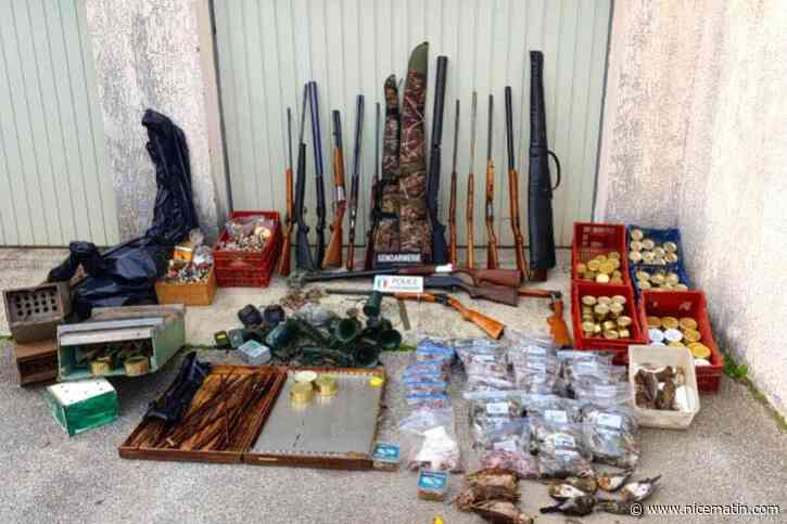 Plus de 600 grives et mésanges congelées, 160 boîtes de pâté d’oiseaux… : un chasseur à la glu condamné pour braconnage à forte intensité dans le Haut Var