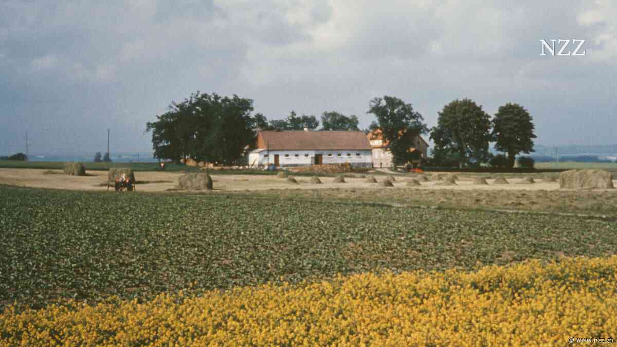 Schwedisches Romandebüt: Ist Heimat ein Ort oder ein Gefühl?