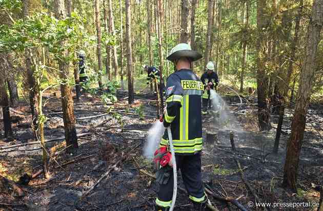 FW Celle: Hohes Einsatzaufkommen bei hohen Temperaturen - u.a. Waldbrand, Pkw-Brand und Heckenbrand!