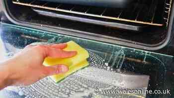 Oven grease will vanish overnight when 1 natural item is left on — no scrubbing needed