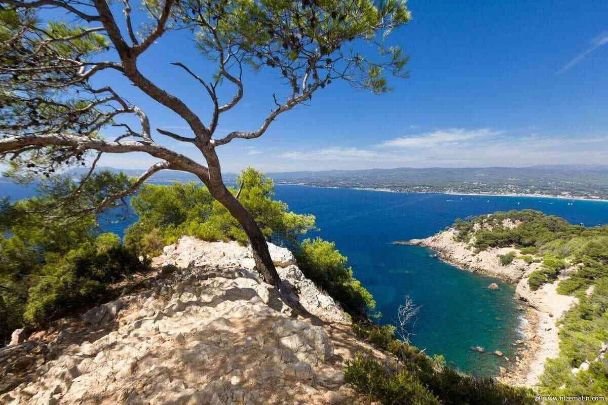 Alerte orange canicule maintenue, jusqu’à 40 °C attendus... On fait le point sur la météo prévue ce dimanche dans le Var