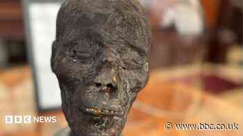 Auction house criticised over sale of 3,000-year-old mummy head