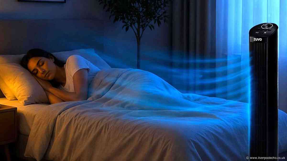 'Powerful and quiet' fan helps users fall into a peaceful slumber