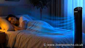 'Powerful and quiet' fan helps users fall into a peaceful slumber