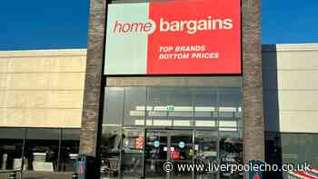 'Versatile' £10 Home Bargains cabin bag 'perfect' for Ryanair, Jet2, British Airways