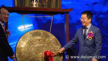 China develops extremely 'powerful weapon' that has flipped the AI race on its head... amid concerns the US is HELPING Beijing get an advantage