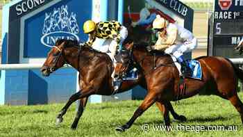 Tips and race-by-race guide for Scone on Monday