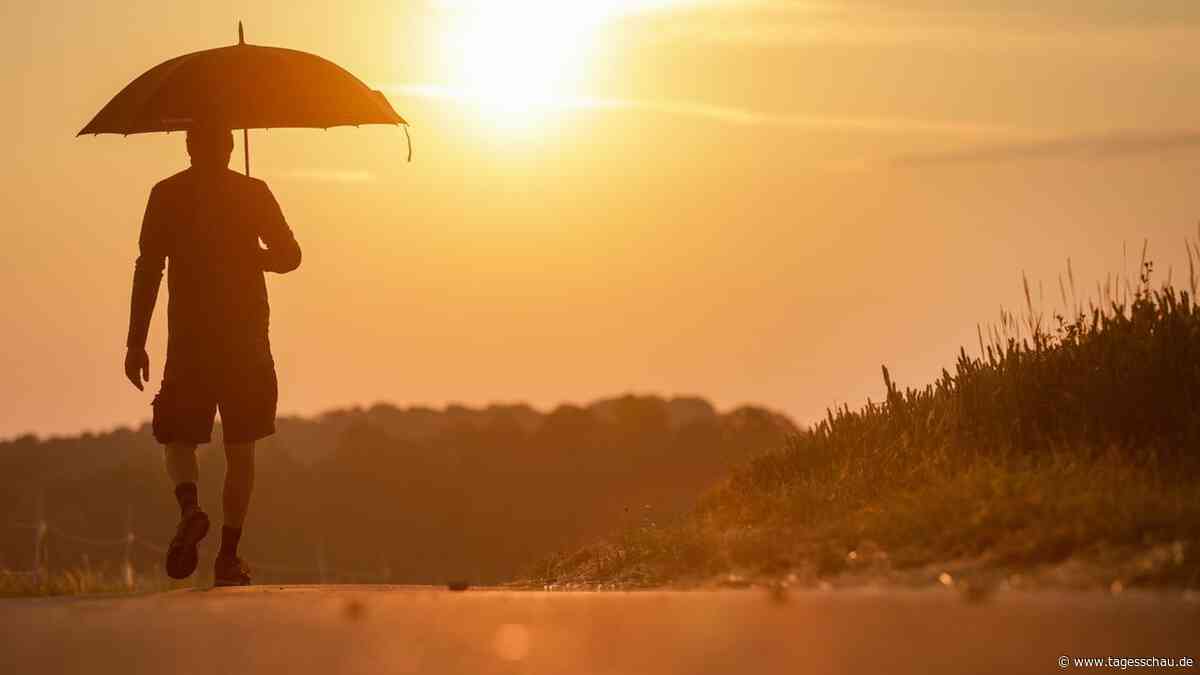 Hitze-Liveblog: ++ Bis zu 42 Grad erwartet ++