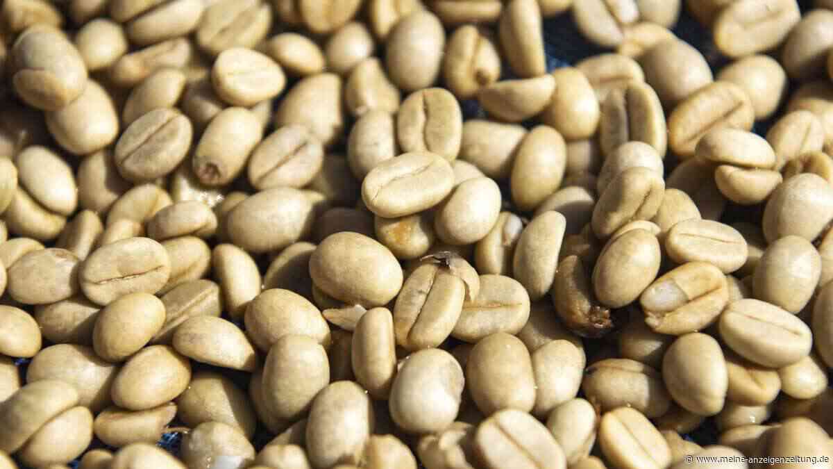 Verbotene Pestizide im Kaffee: Jede fünfte Tasse laut Studie belastet