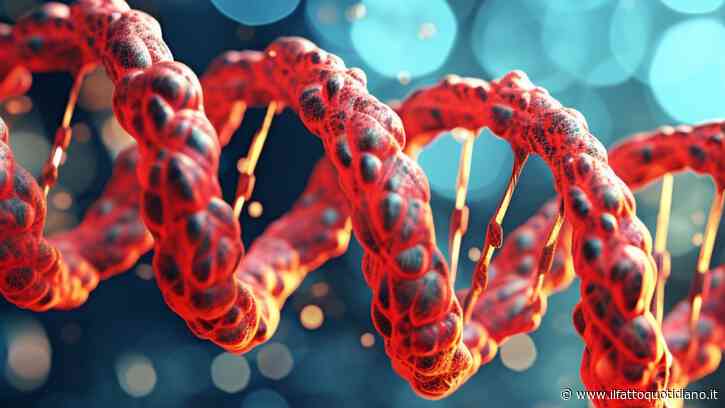Il paradosso del cervello: per crescere sani i neuroni spezzano il proprio Dna e poi lo riparano in tempi record