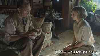 'Masterpiece' historical drama based on true story 'a rare gem' on Netflix