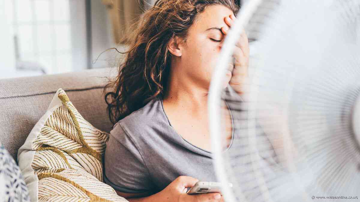 'Small but powerful' desk fan is 'not noisy' and now 'free' with cashback deal