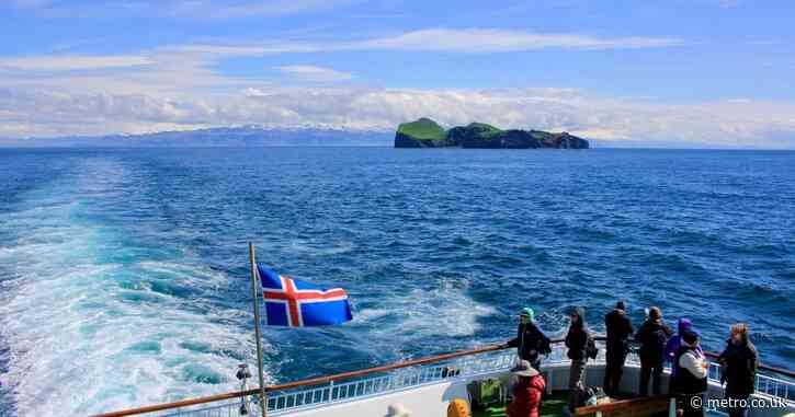 I went to Iceland and became a ‘twitcher’, Ariana Grande’s latest obsession