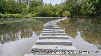 Flamingos, otters, and now Europe's 'longest stretch of continuous stepping stones'