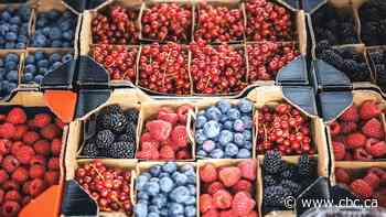 Fresh strawberries were a summer luxury. When did they become an all-season toddler snack?