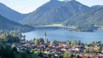 Mit dem Tretboot ins Schilf: Mehrere Verstöße gegen Naturschutzvorschriften am Schliersee