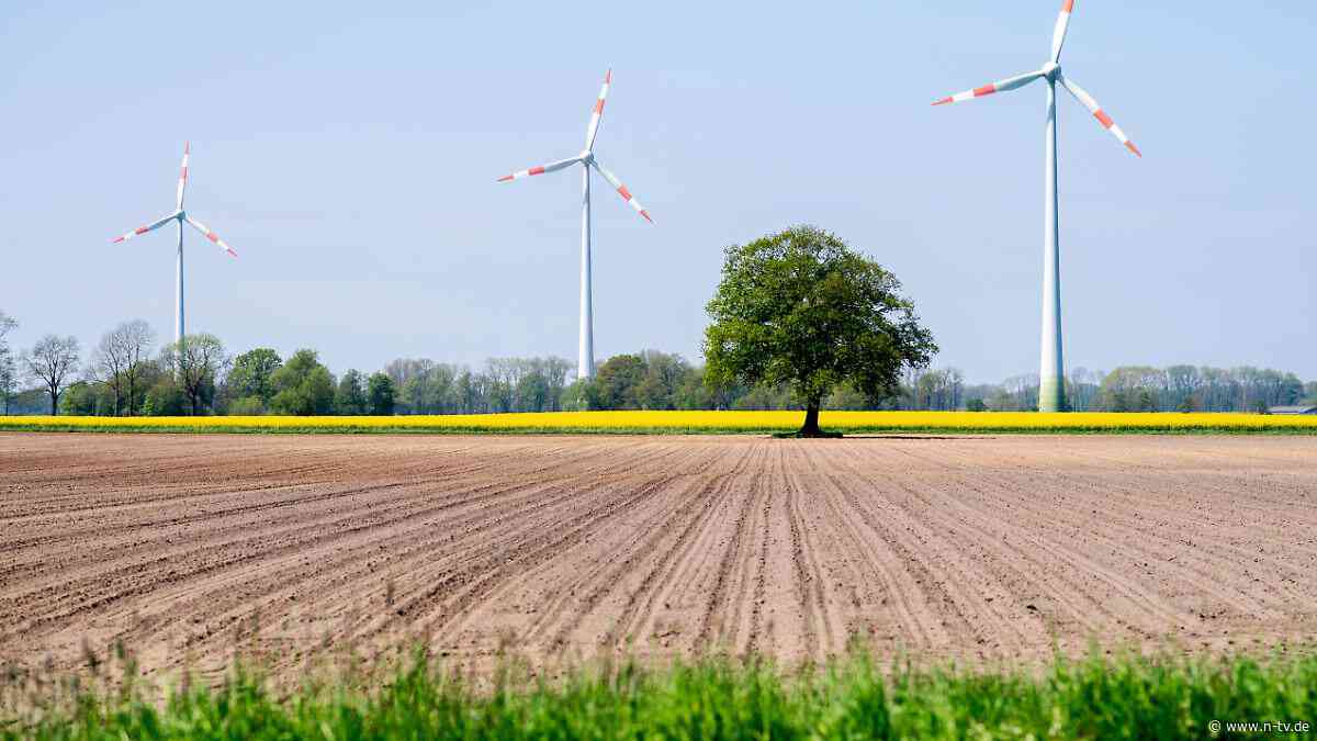 Aberwitzige Energie-Bürokratie: "Der Netzbetreiber sagt: Für die Leitung muss ich erst die Vogelwelt kartieren"