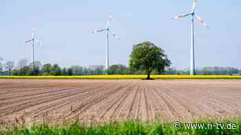 Aberwitzige Energie-Bürokratie: "Der Netzbetreiber sagt: Für die Leitung muss ich erst die Vogelwelt kartieren"